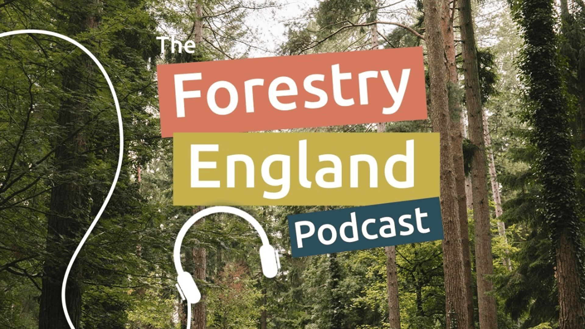 Forestry England