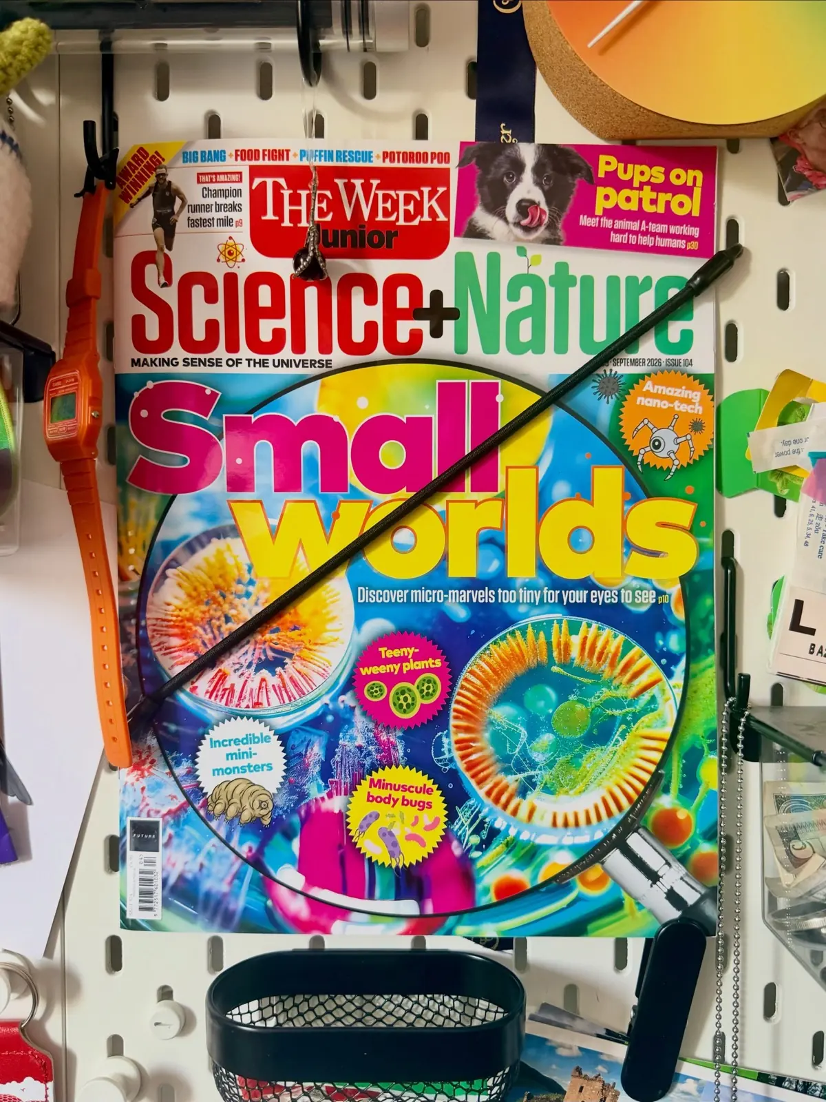 The September 2026 issue of The Week Junior Science+Nature on a pegboard, cover line ‘Small worlds’, an orange Casio watch hanging beside it.