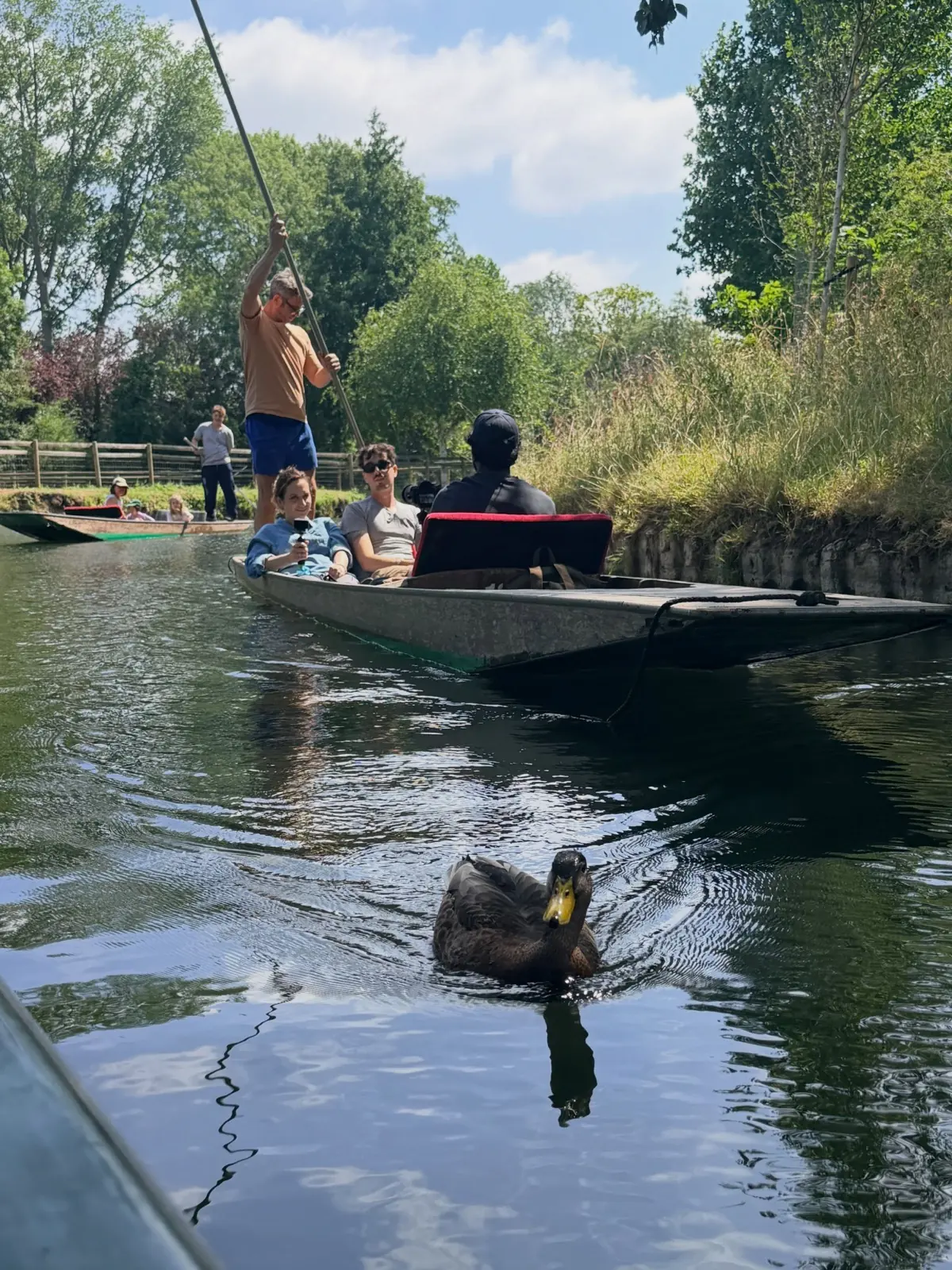 A punt being poled along a green river in Oxford, a duck paddling across the foreground.