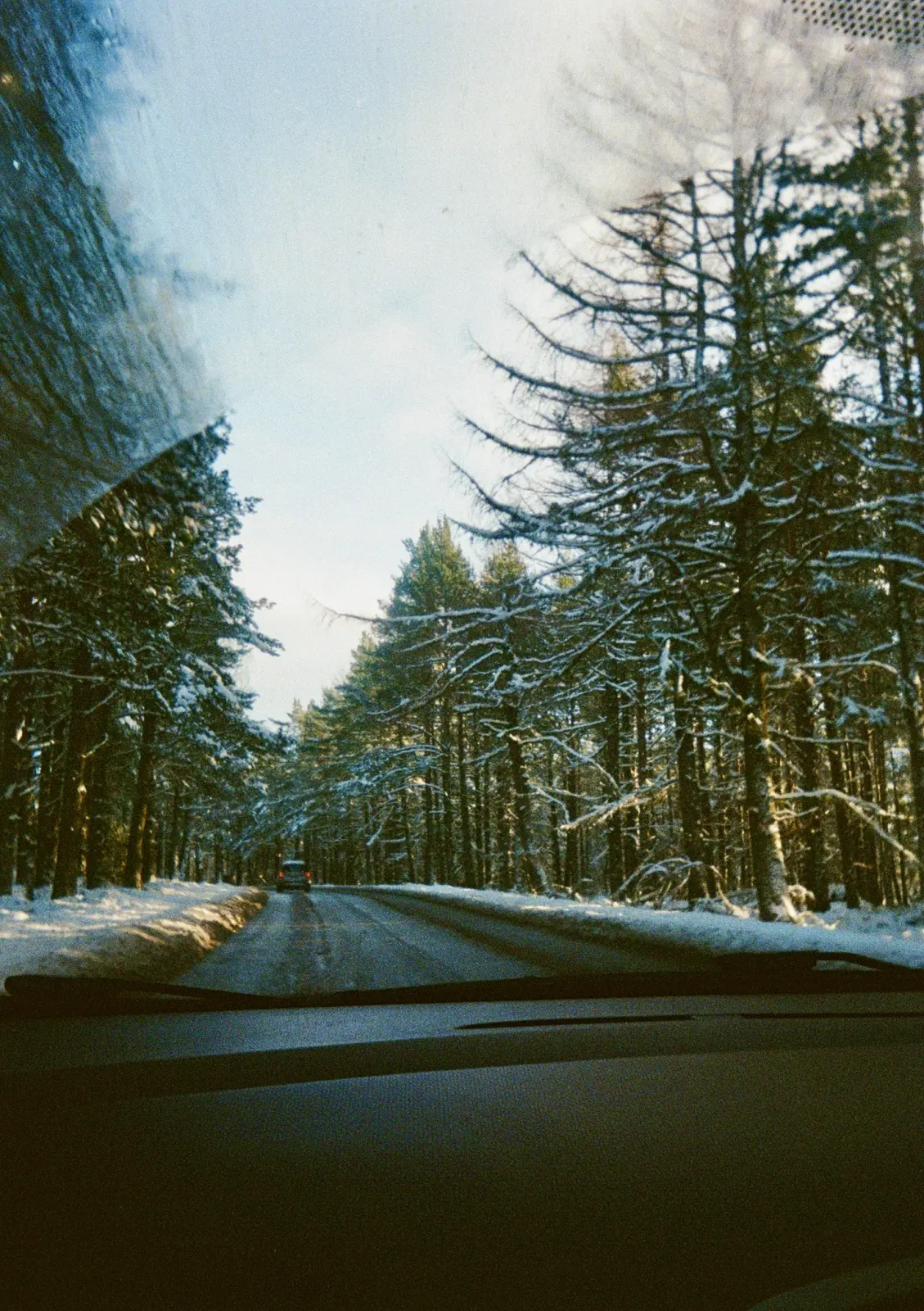 Looking through a car windscreen, its edge still frosted, down a road that runs between tall pines heavy with snow, one car far ahead.