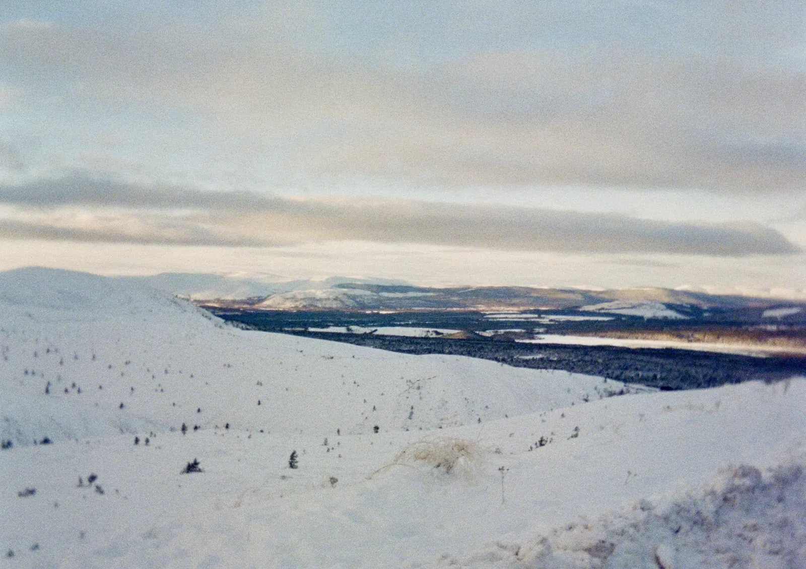 A snowy slope looking out over a dark forested valley towards distant white hills under long bands of cloud.