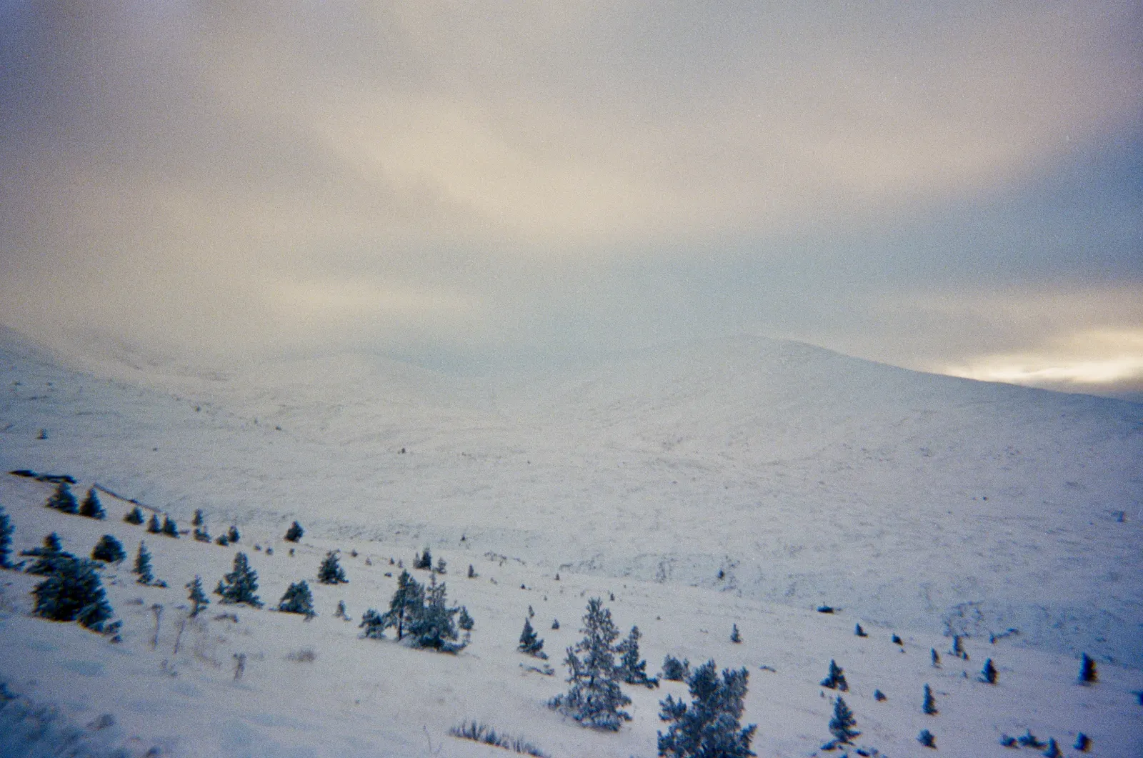 A snow-covered hillside dotted with small pines rising into low cloud, a thin band of warm light on the right horizon.