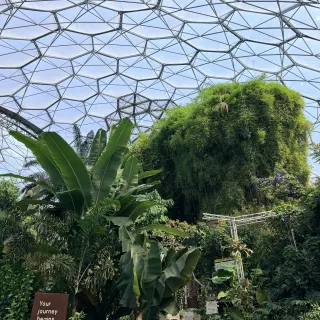 Inside a geodesic dome at the Eden Project, banana leaves and a towering mound of greenery under the hexagonal roof, a wooden sign reading Your journey begins this way.
