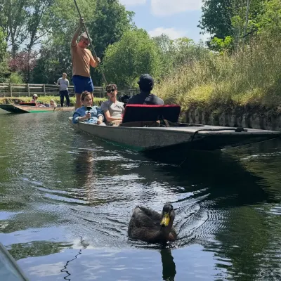 A punt being poled along a green river in Oxford, a duck paddling across the foreground.