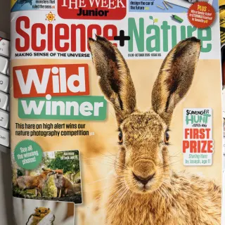 The October 2026 issue of The Week Junior Science+Nature on a desk beside a keyboard, a close-up of a hare on the cover under the line 'Wild winner'.