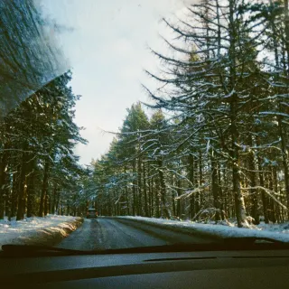 Looking through a car windscreen, its edge still frosted, down a road that runs between tall pines heavy with snow, one car far ahead.